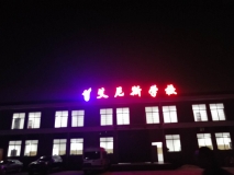 【艾尼斯學(xué)?！繕琼敯l(fā)光字效果